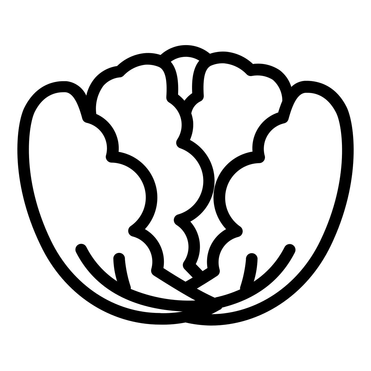 cabbage icon