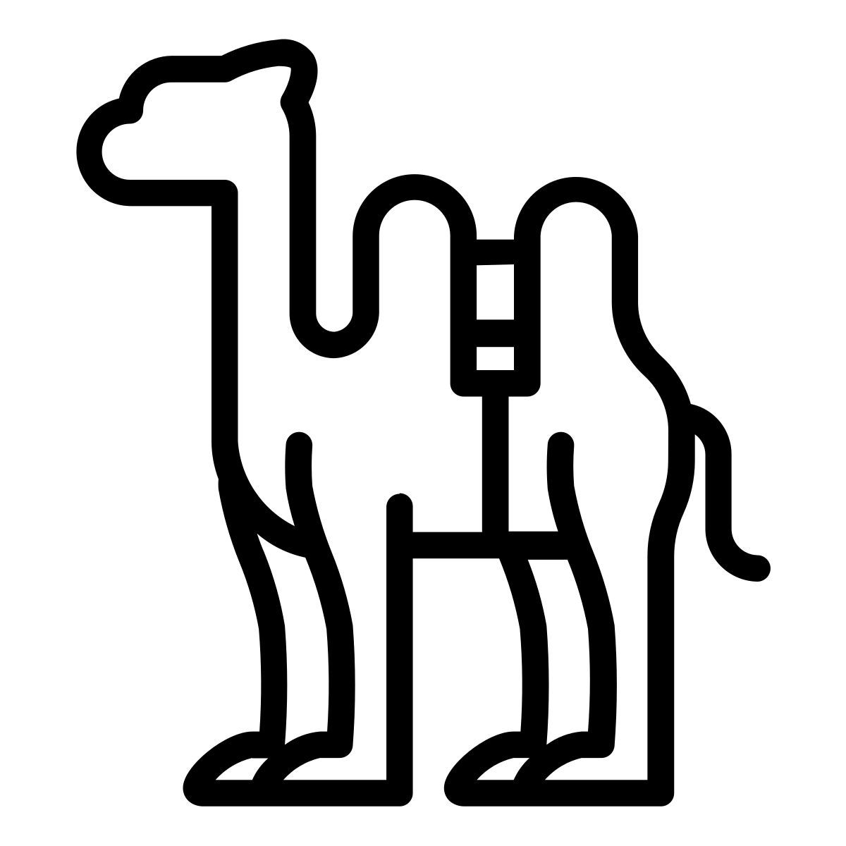 camel icon
