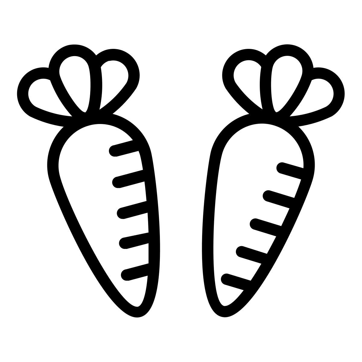 carrot icon
