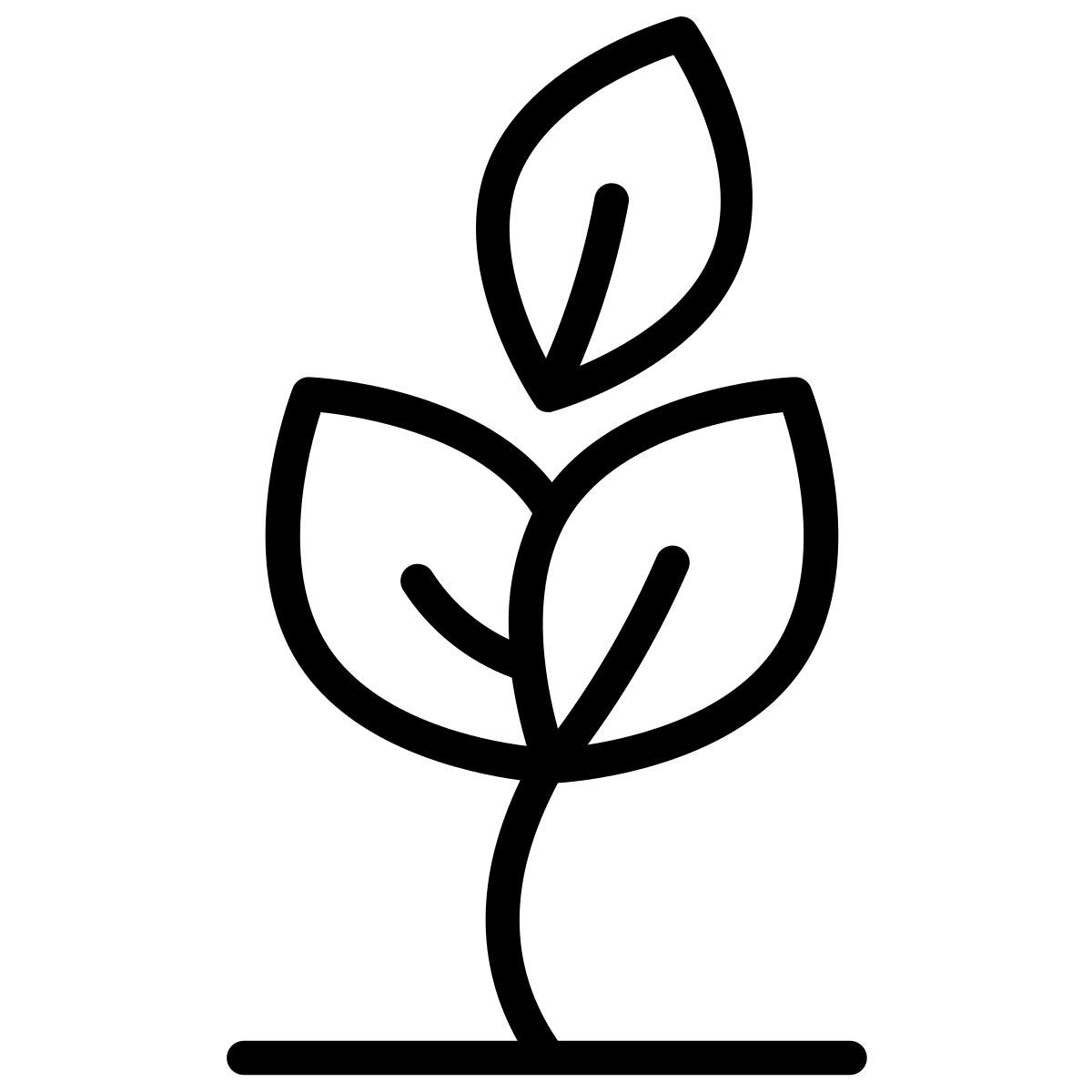 plant icon