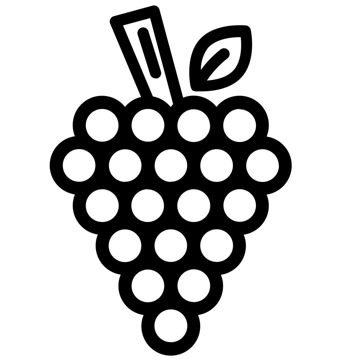 grapes icon