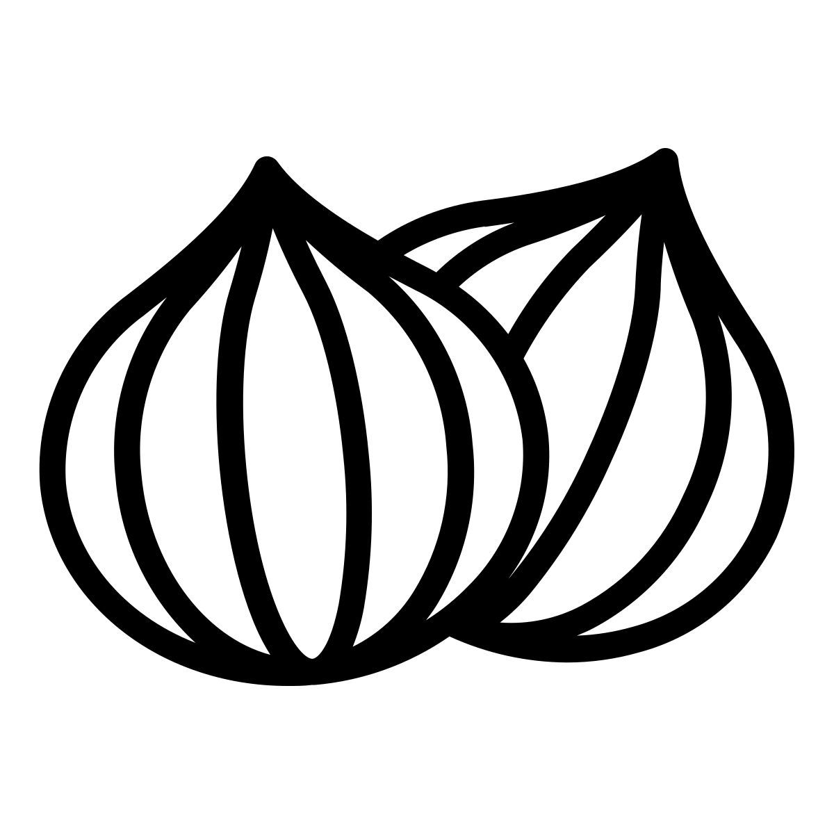 onion icon