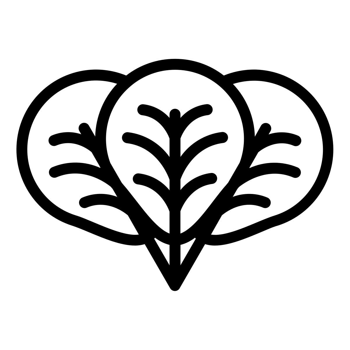 oregano icon