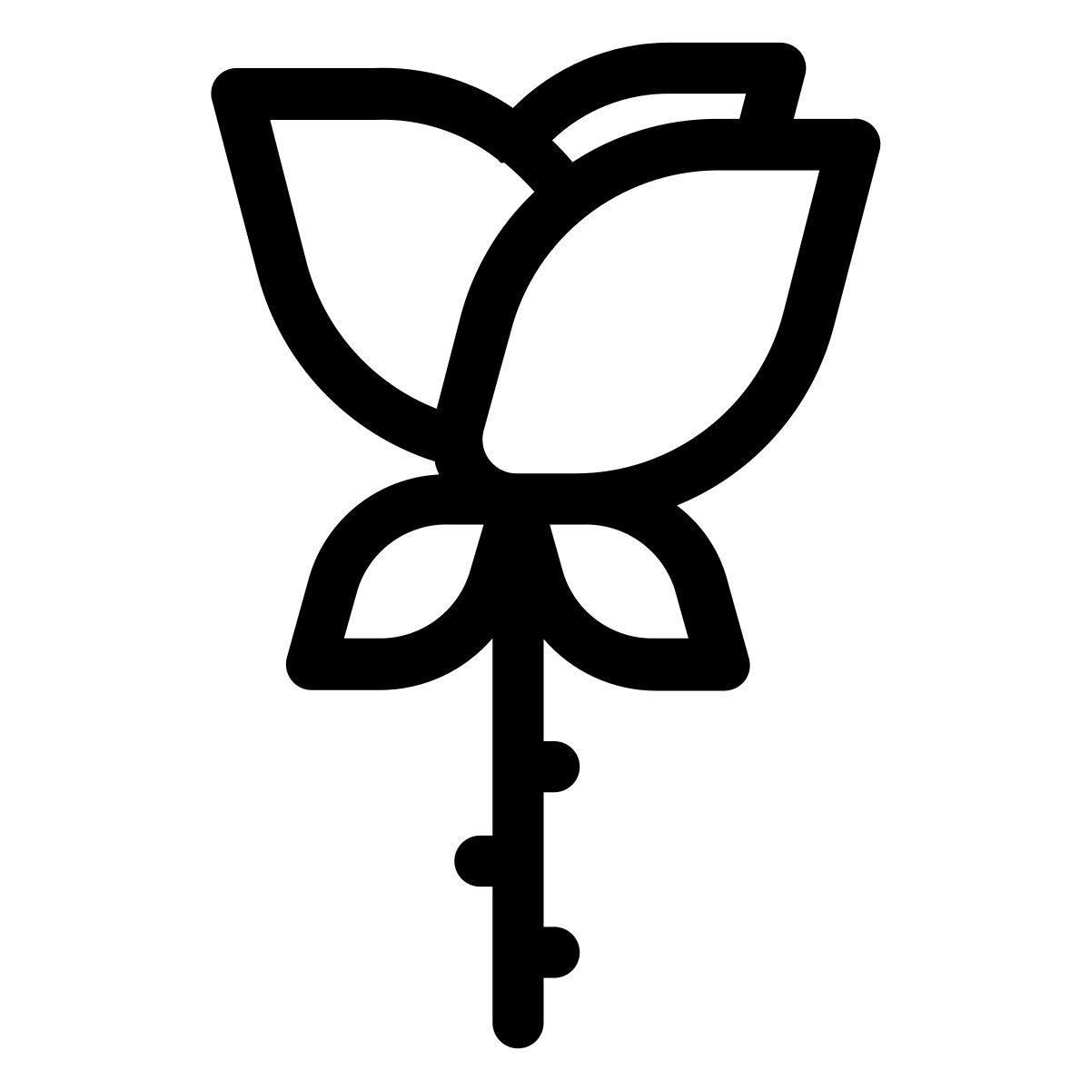 rose icon