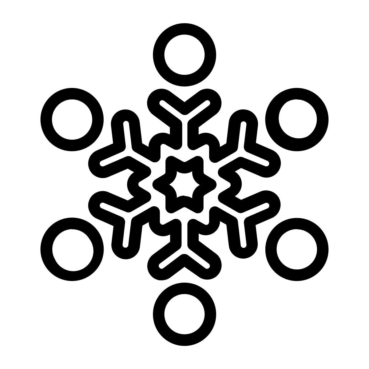 snowflake icon