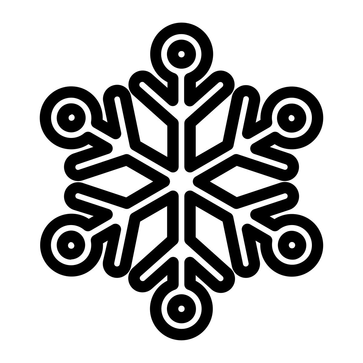 snowflake icon