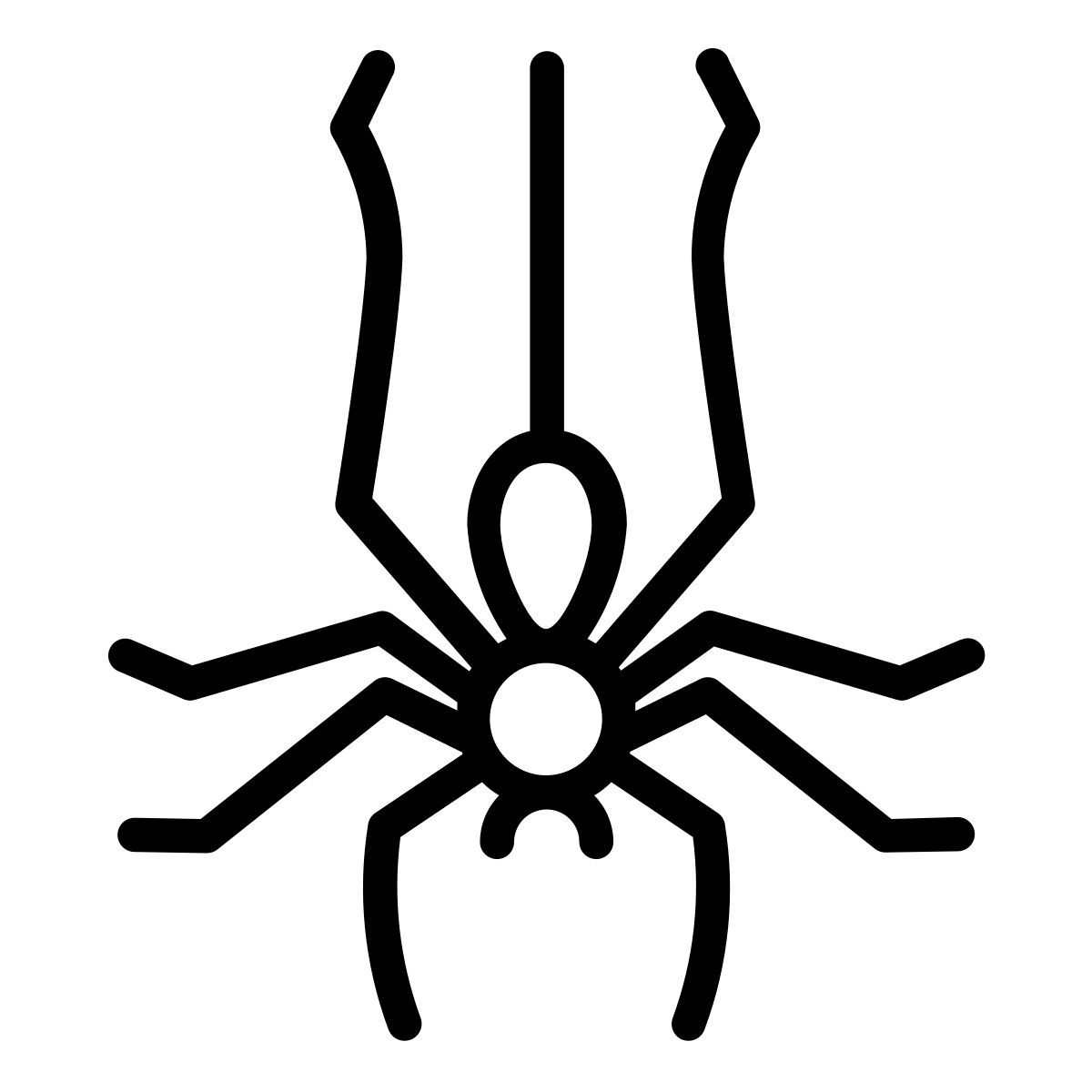 spinne icon