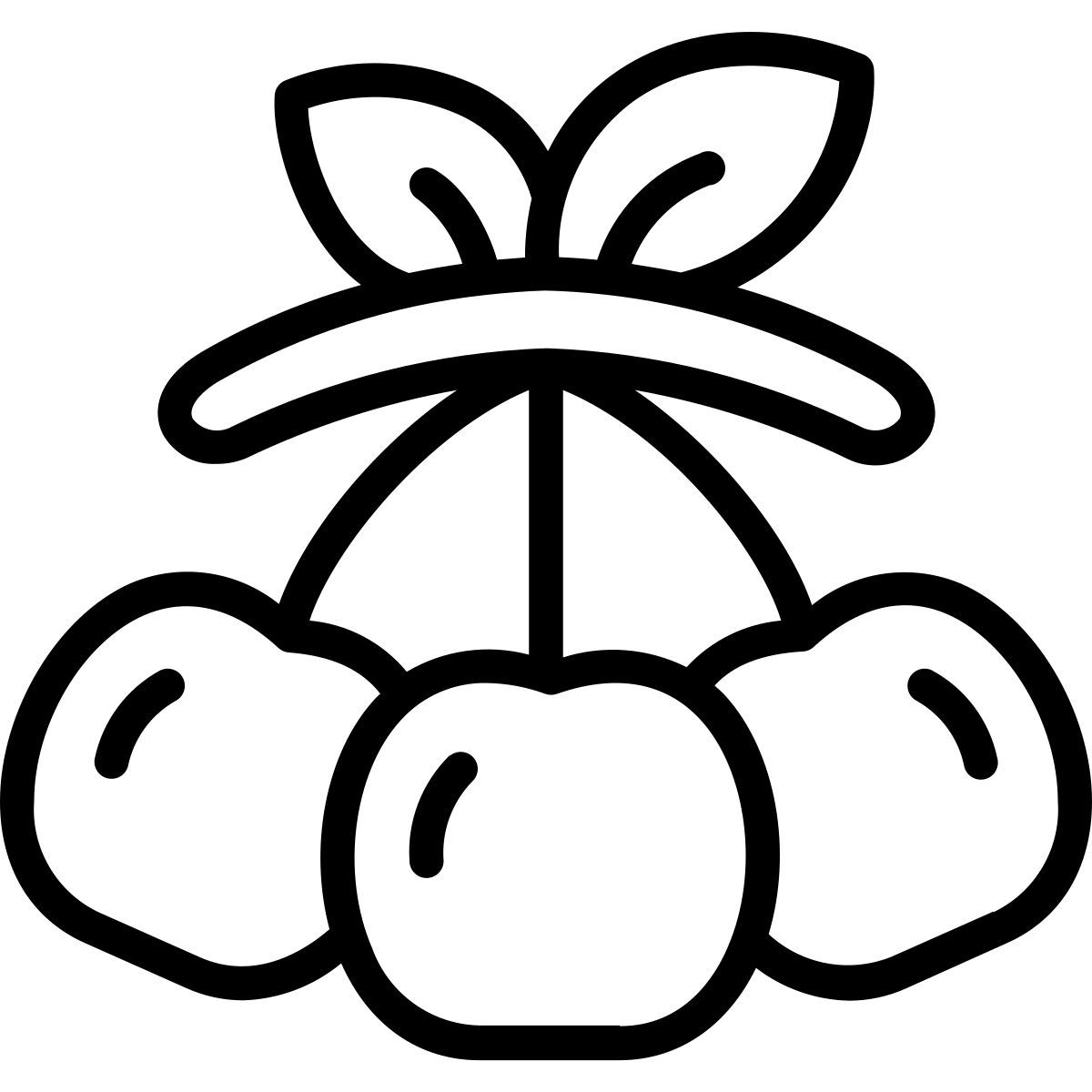 cherry icon