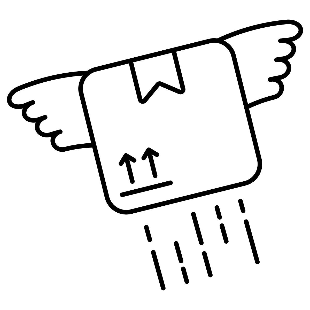flying parcel icon