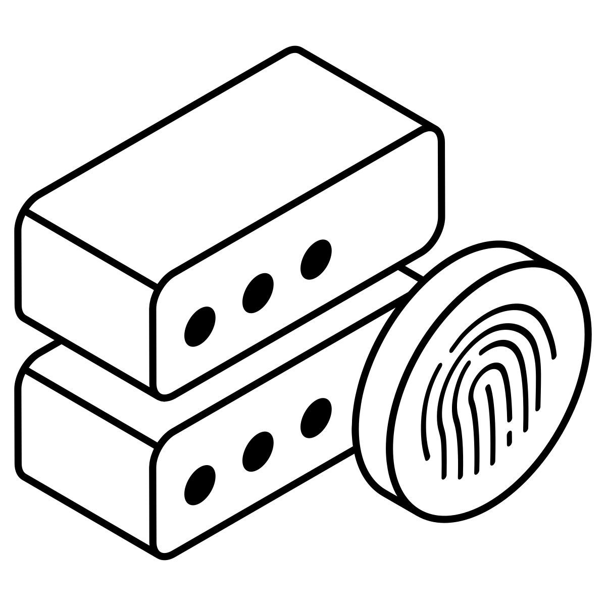 Bloqueo de huellas dactilares del servidor icon