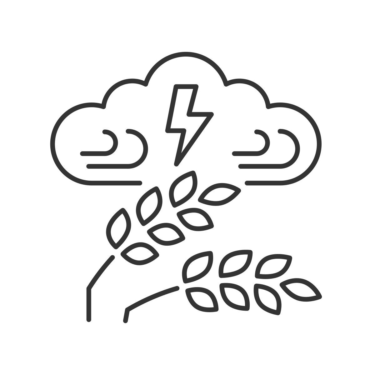 adverse weather icon