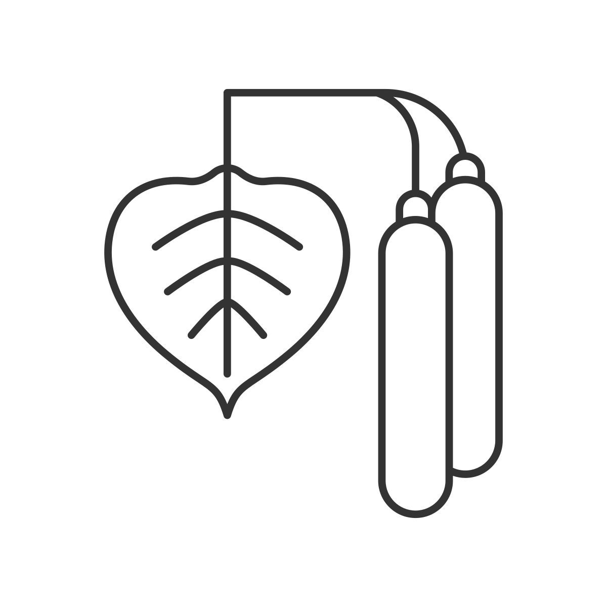 birch pollen icon