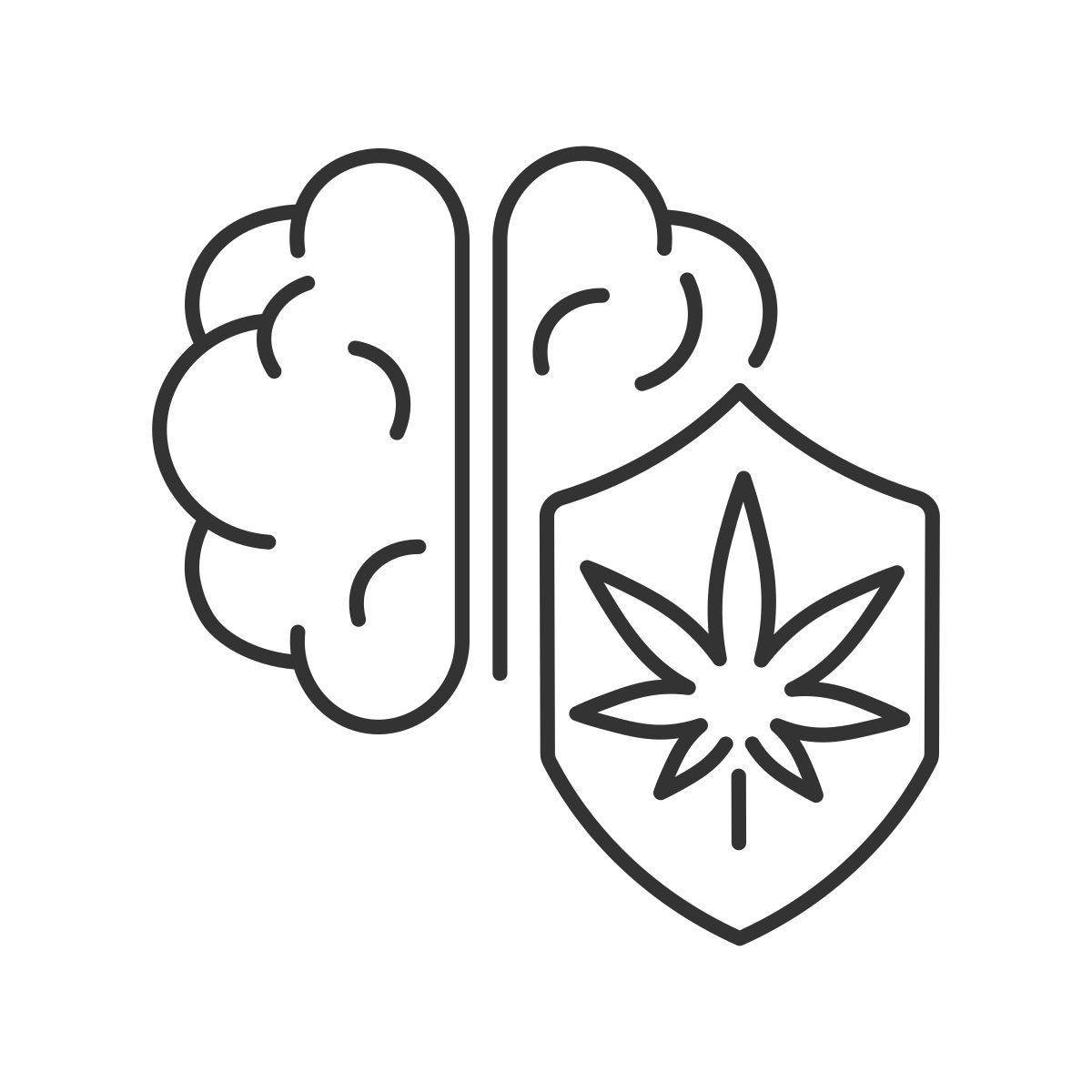 brain protection icon