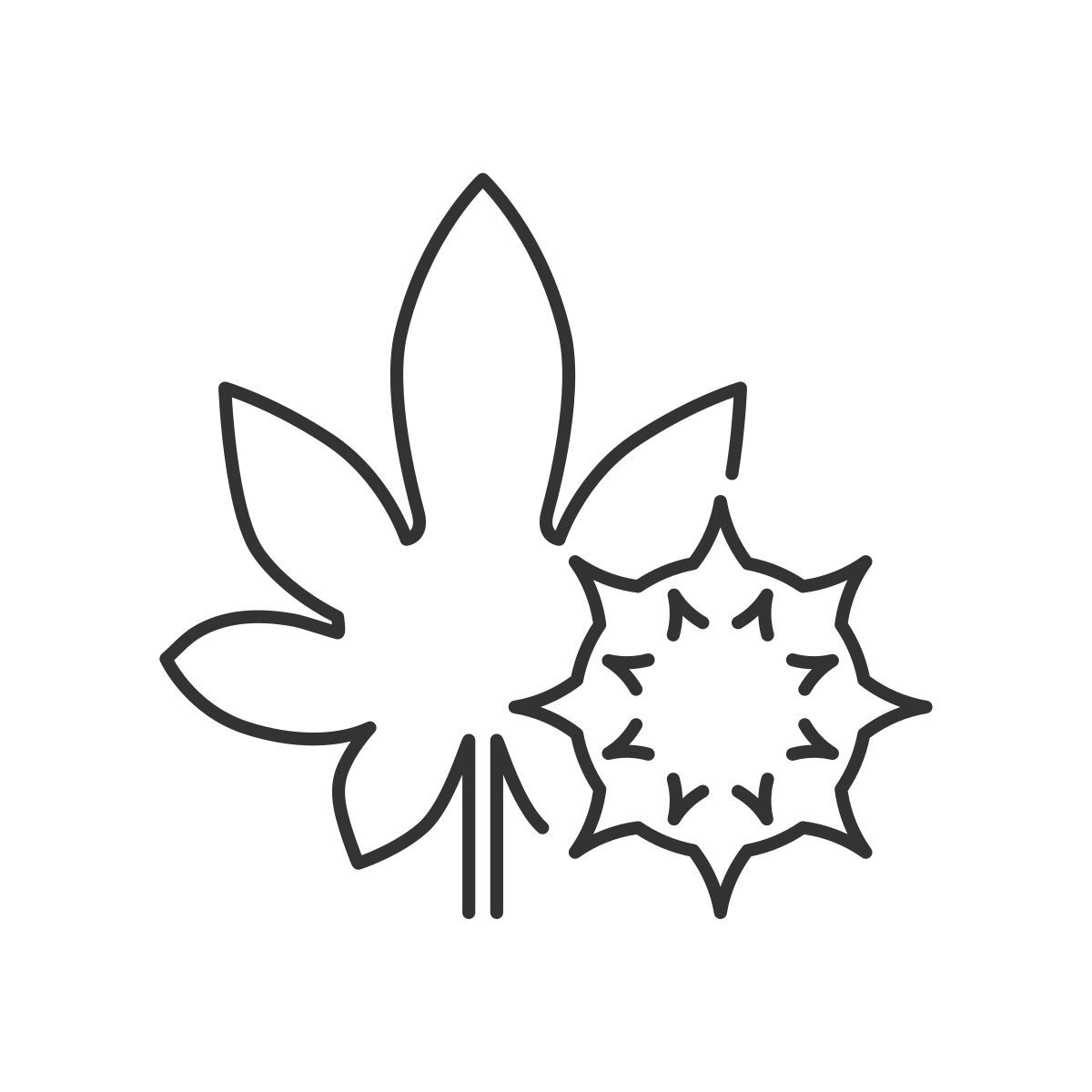 castor bean icon