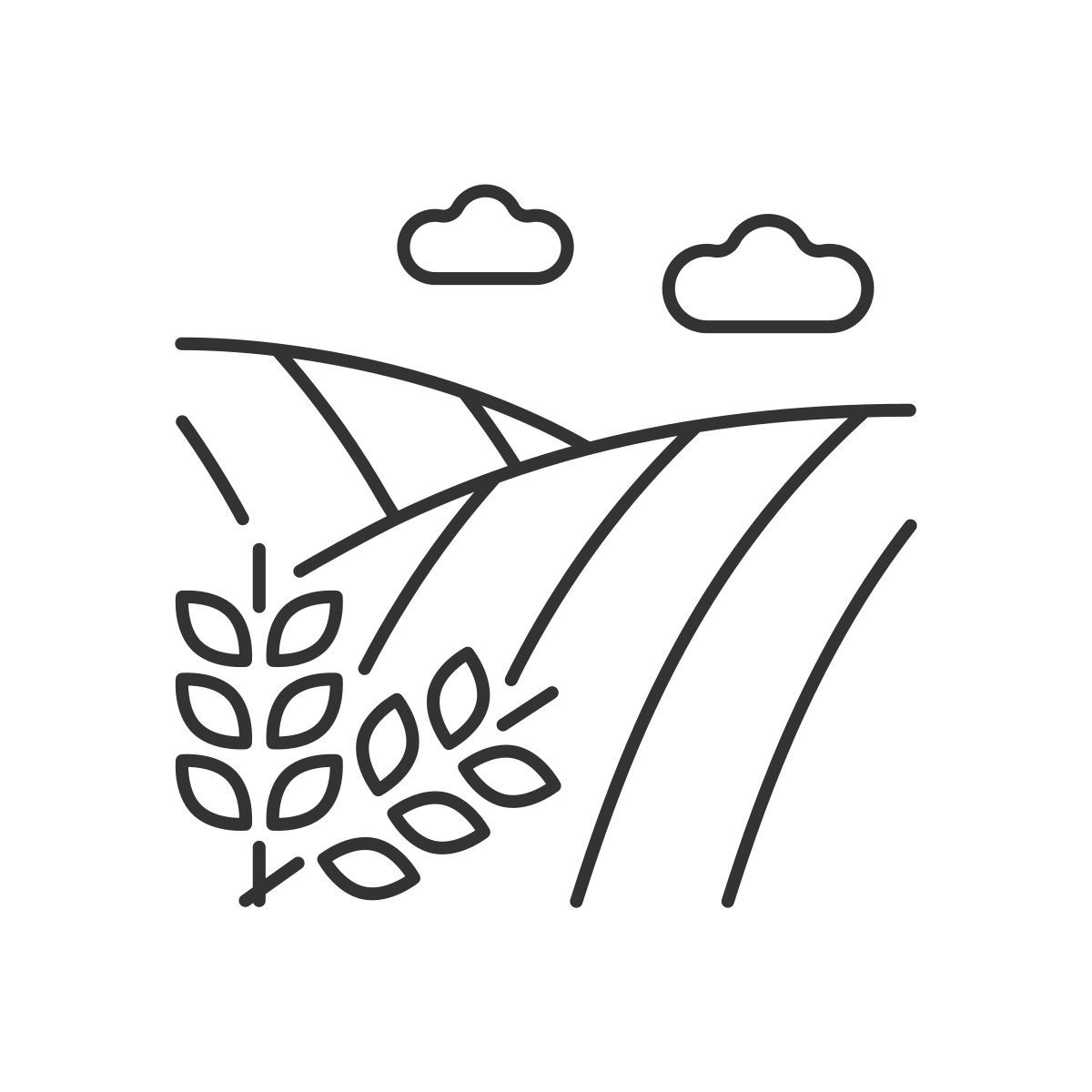 crop land icon