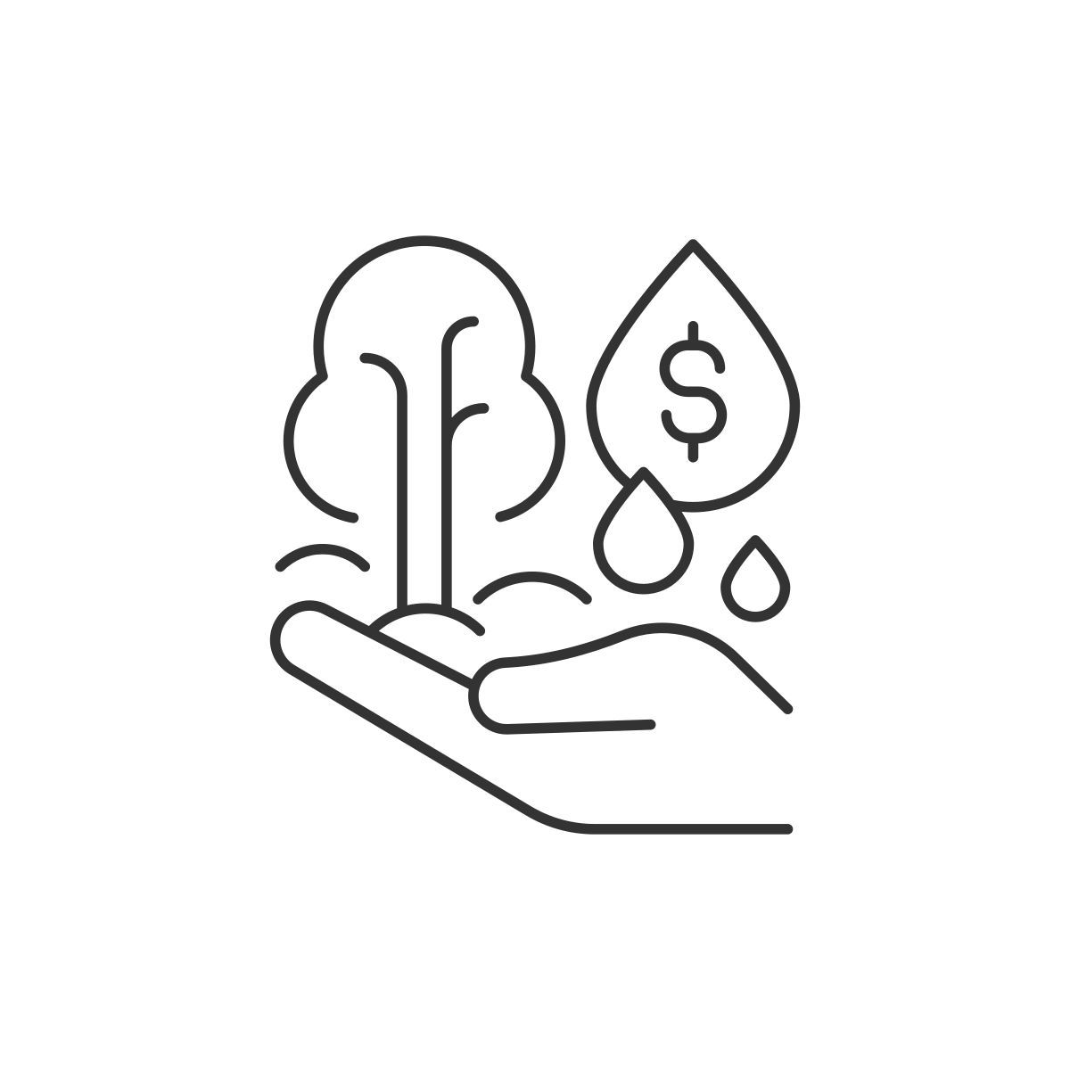 donate icon