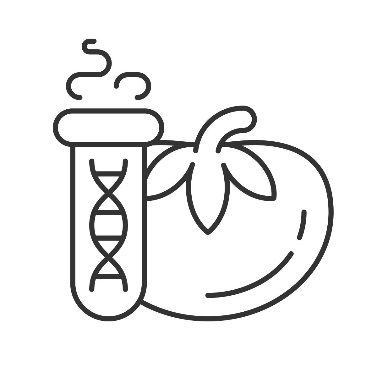 teste de comida icon