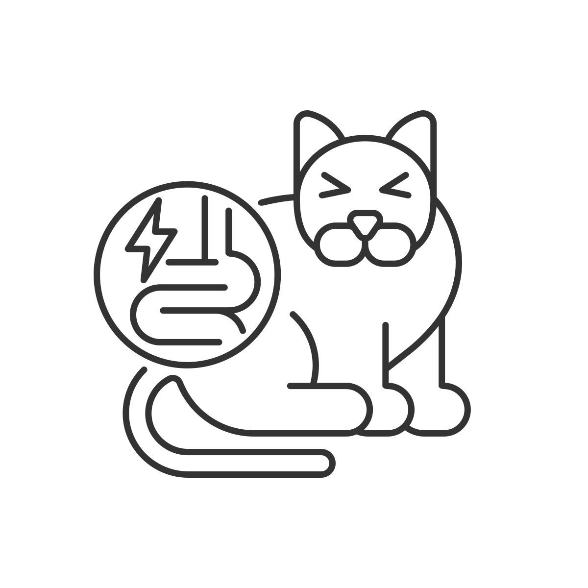 intestinal disorder icon