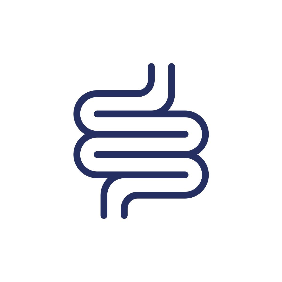 intestine icon