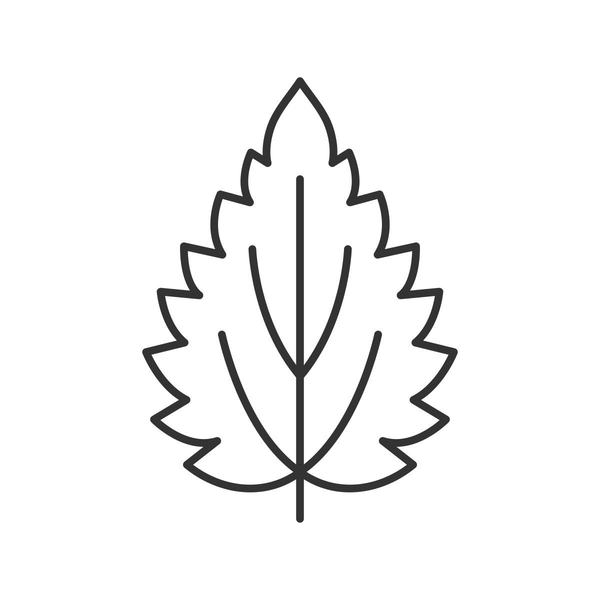 leaf icon