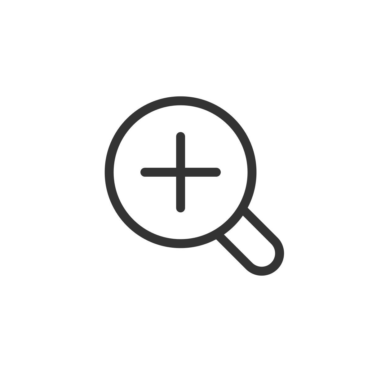 magnifier icon