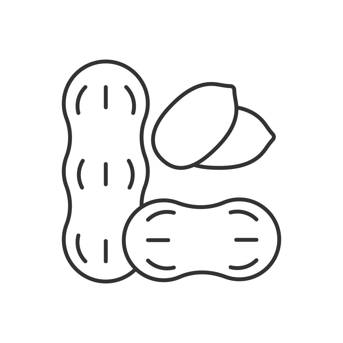 peanut icon