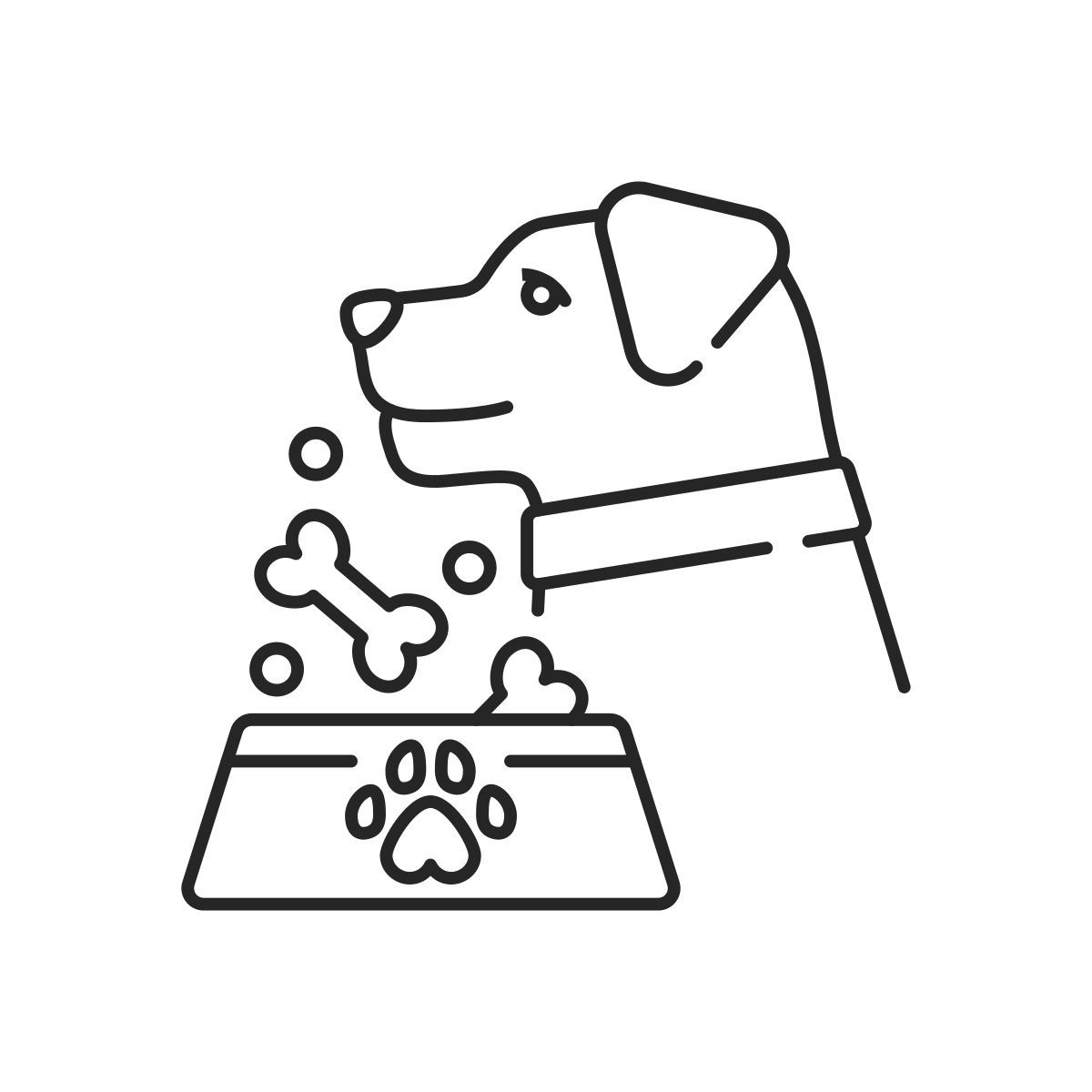 Tierfütterung icon