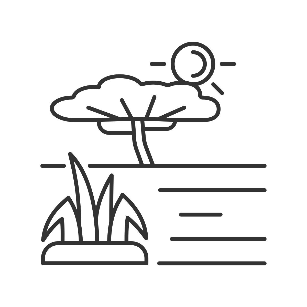 savannah icon