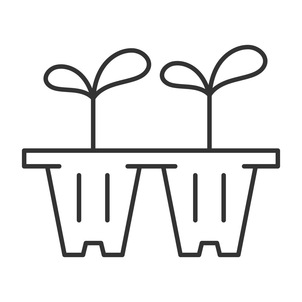 seedling trays icon