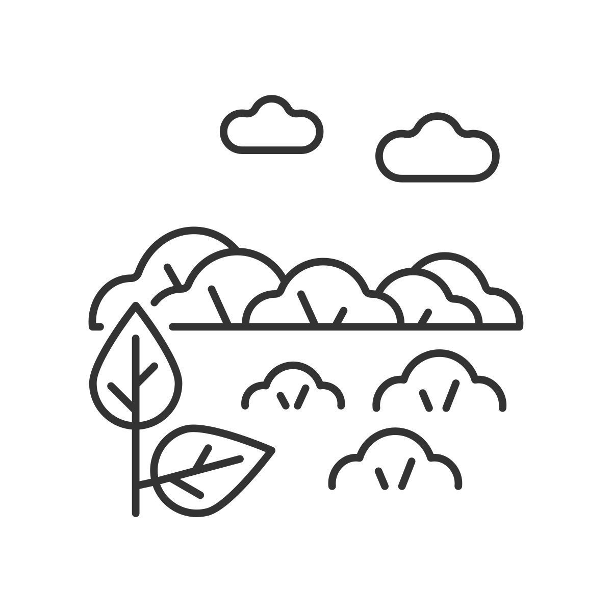 shrubland icon