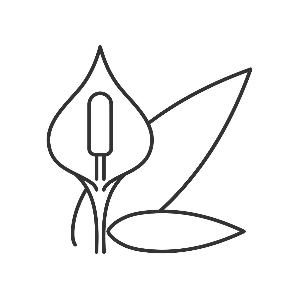 spathiphyllum icon