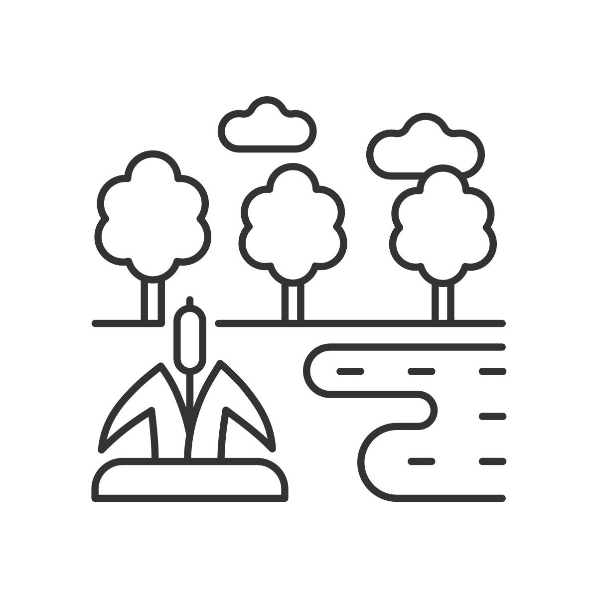 wetland icon