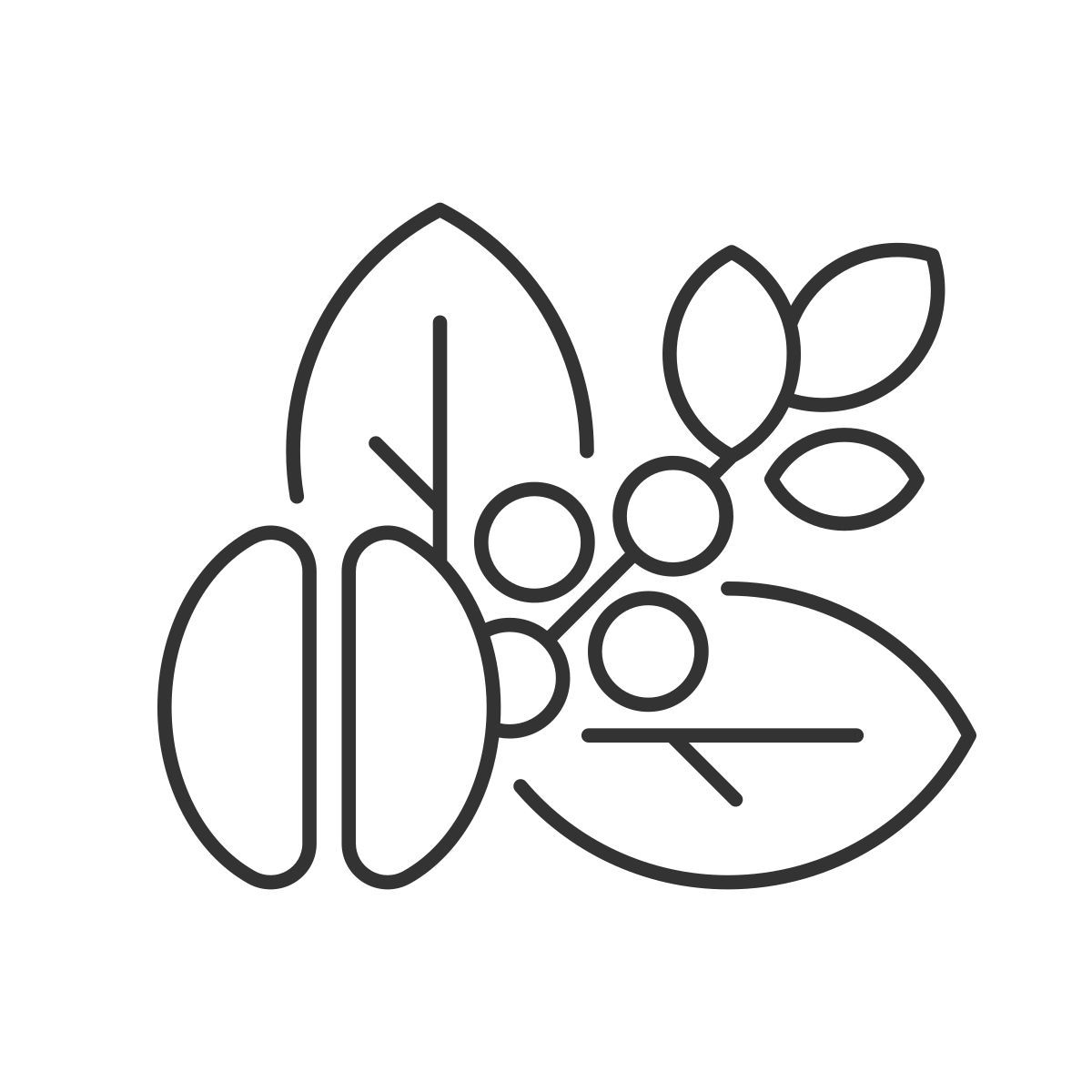 coffee beans icon
