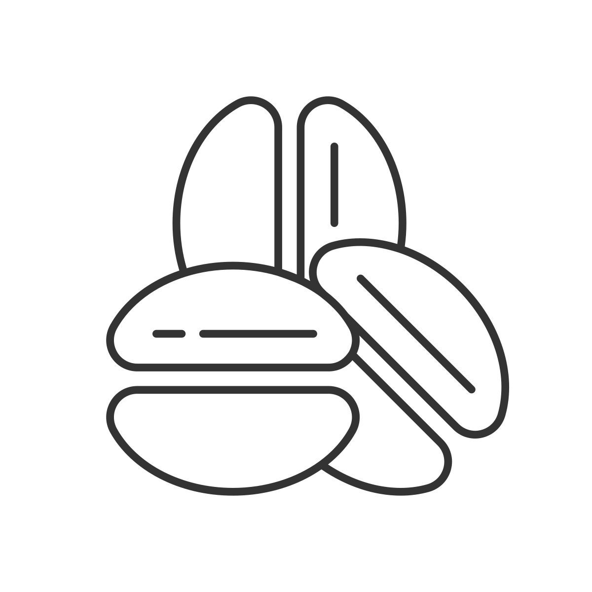 coffee beans icon