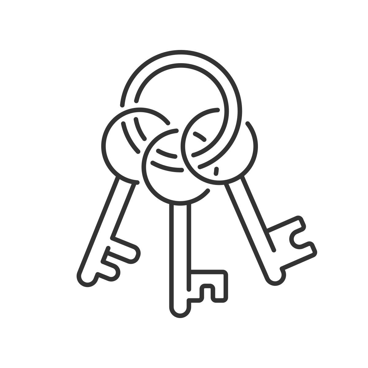 chaveiro icon