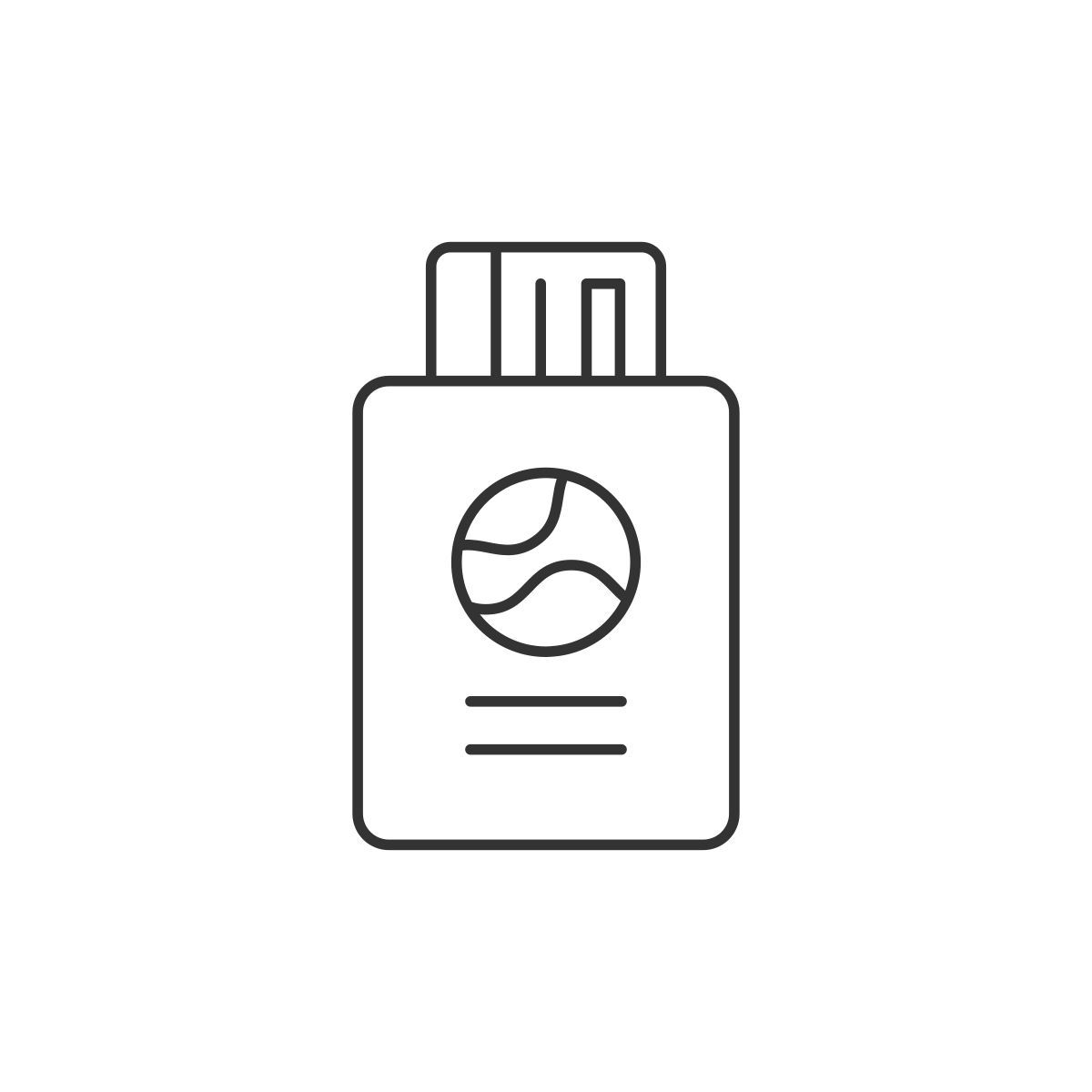 passport icon