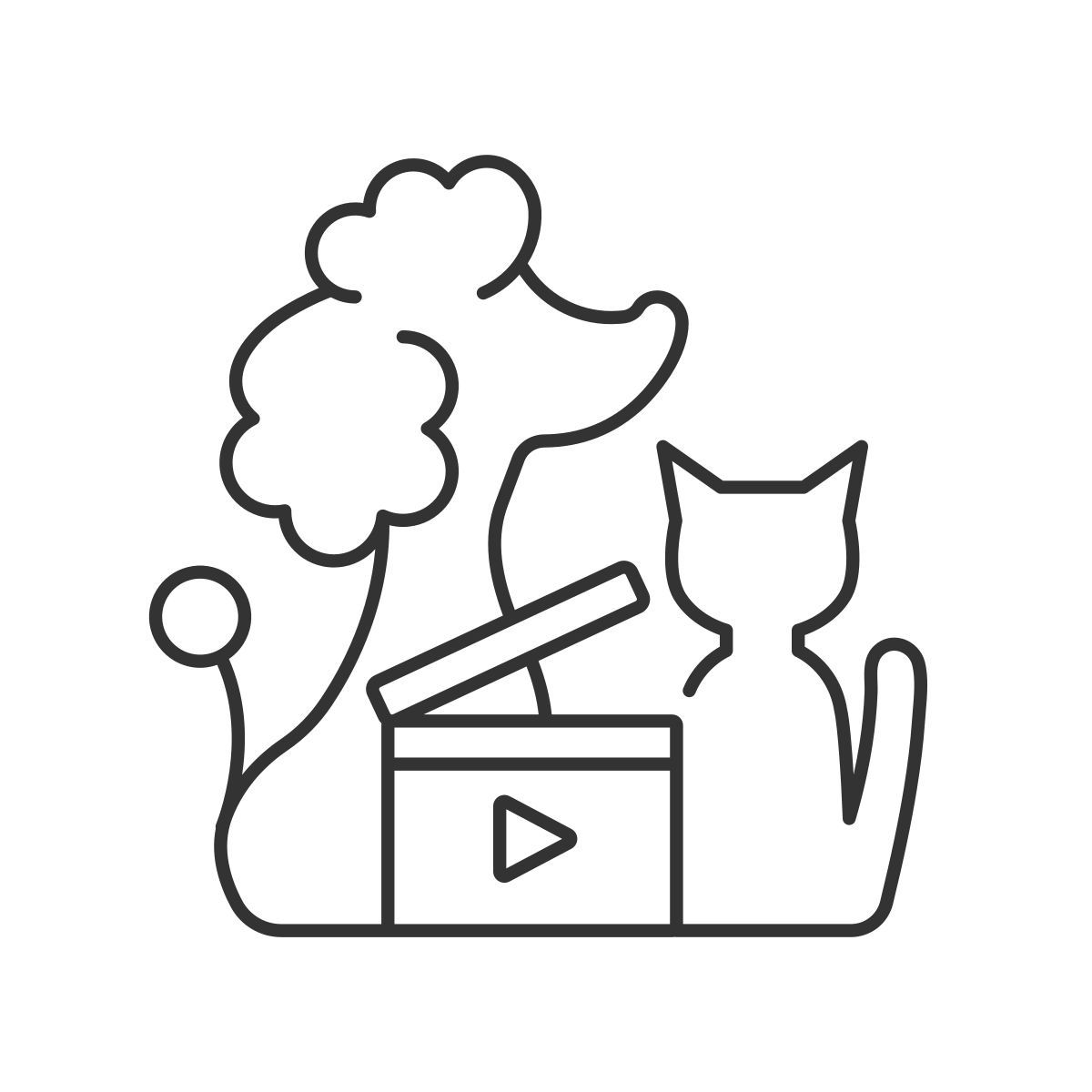 pet video icon