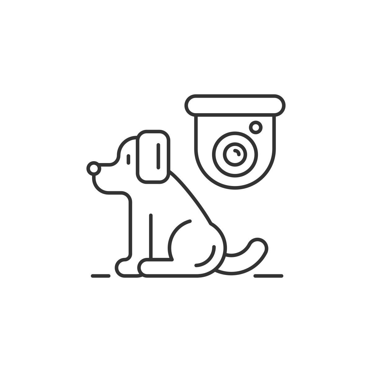 security system icon