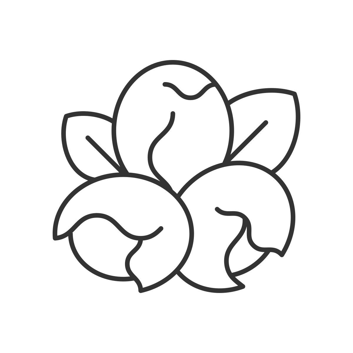 noci icon
