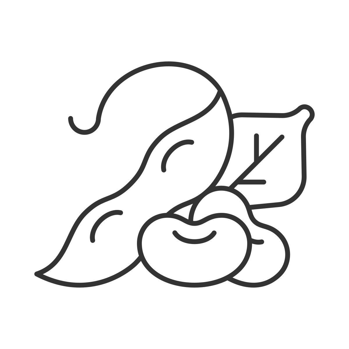 beans icon