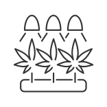 external Cultivation-cannabis-linear-outline-icons-papa-vector icon