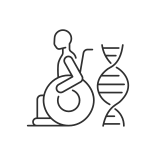 external Muscular-Distrophy-scoliosis-linear-outline-icons-papa-vector icon