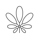 external Schefflera-allergens-linear-outline-icons-papa-vector icon