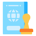 external passport-travel-linector-flat-linector icon