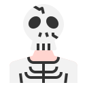 external skeleton-horror-avatar-linector-flat-linector icon