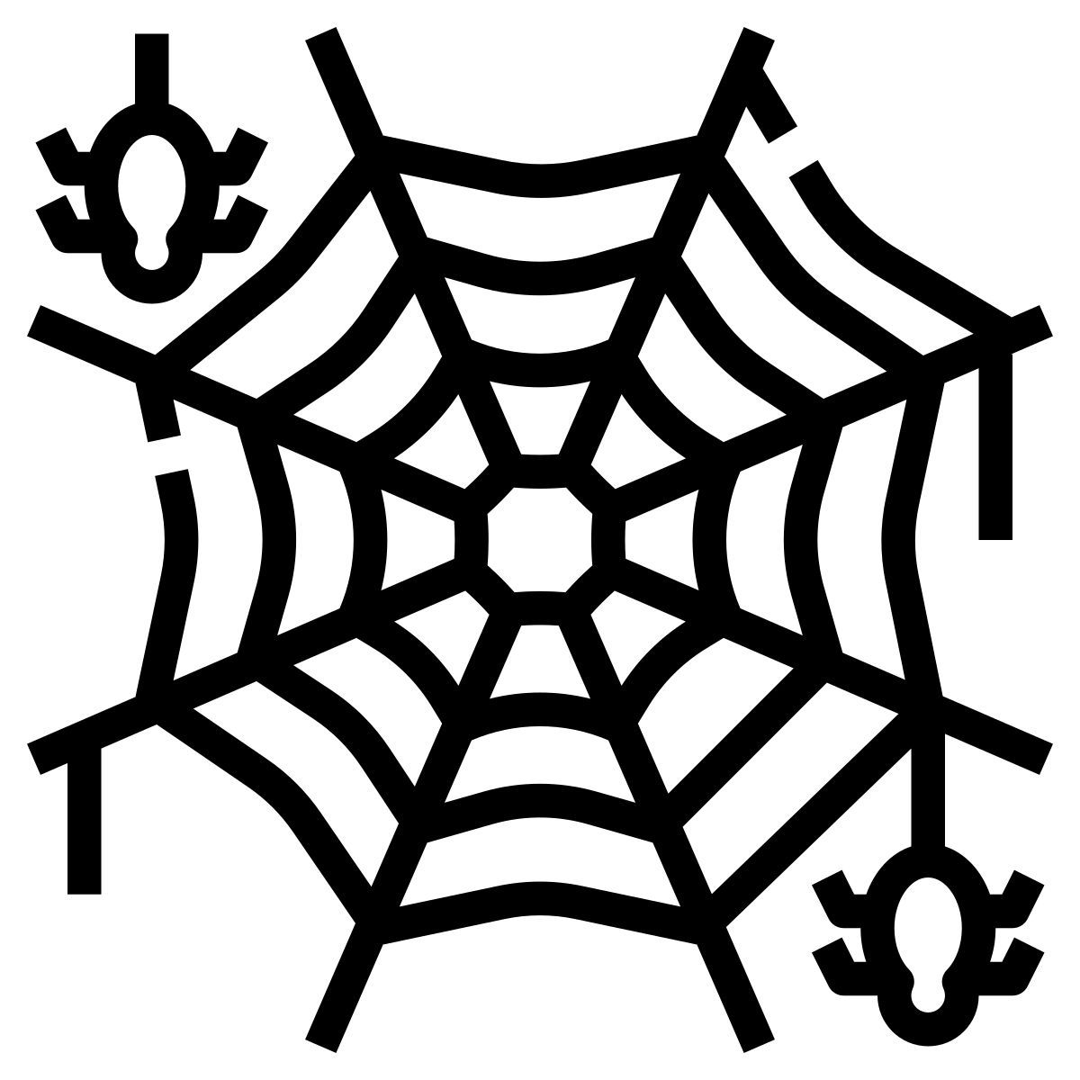 spider web icon