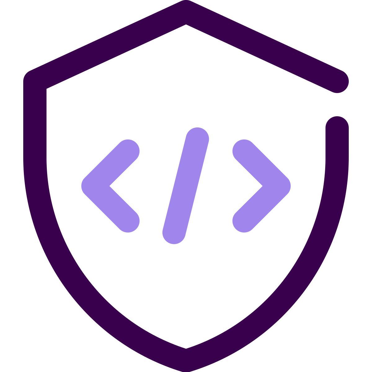 programing protection icon