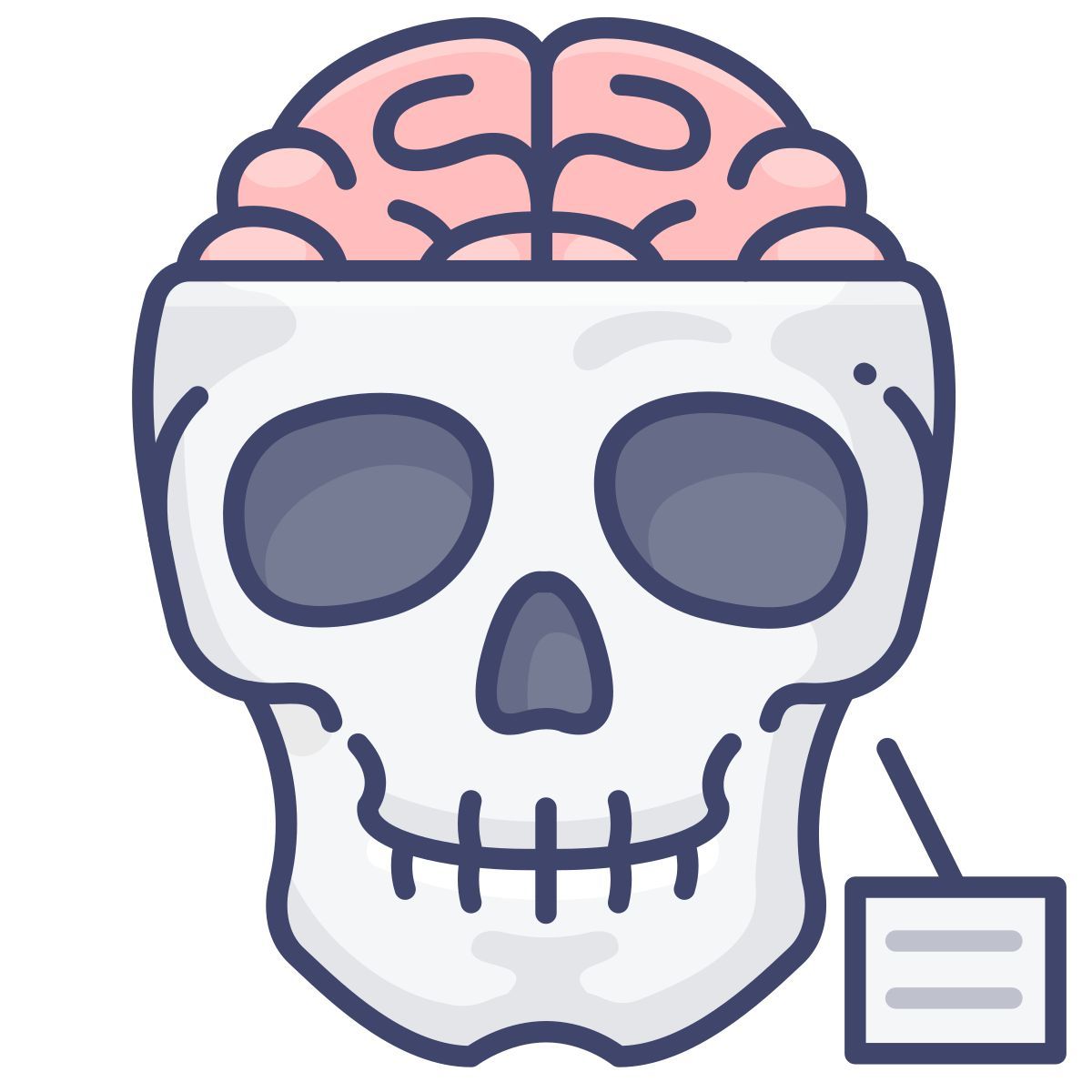 anatomy icon