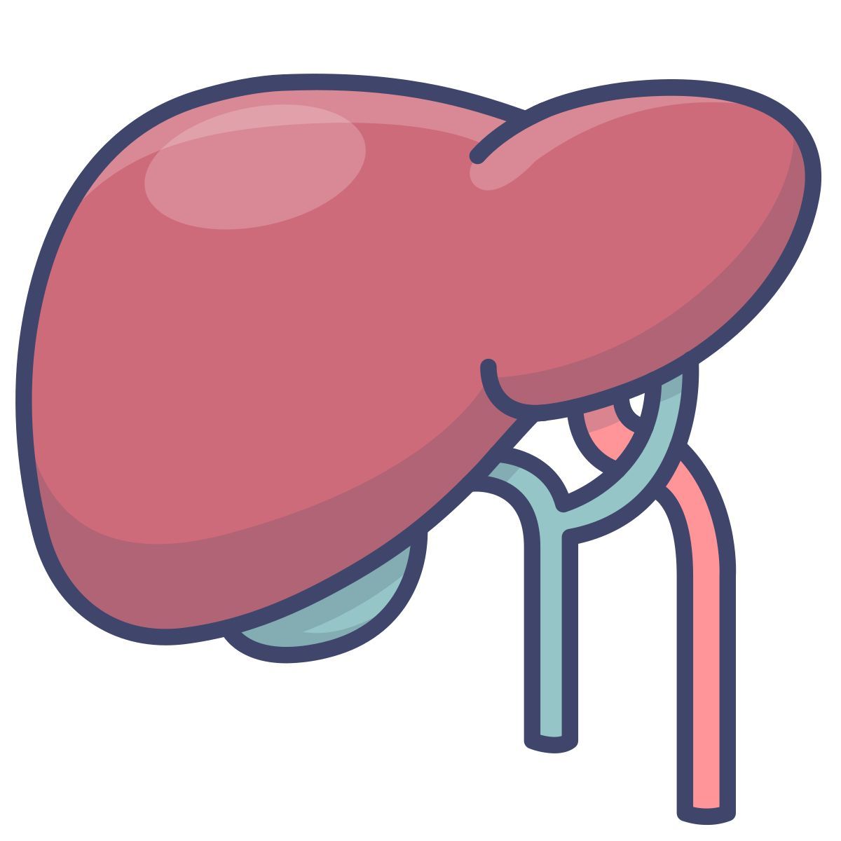 baldder icon