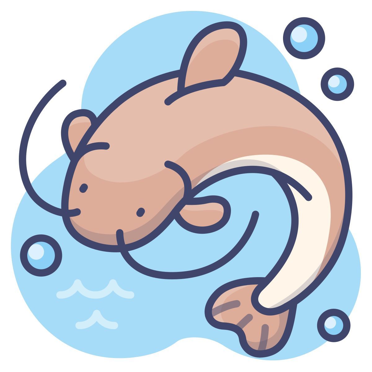carp icon